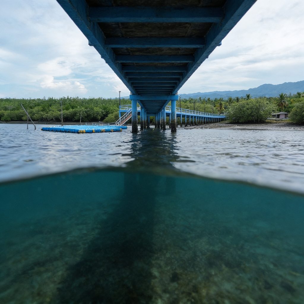 Discover 3 inspiring Catholic environmental stewardship lessons in Leyte. See how Ormoc's volunteers live out Laudato Si through coastal restoration and prayer missions.