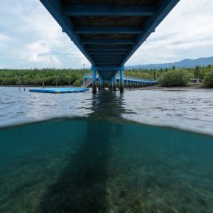 Discover 3 inspiring Catholic environmental stewardship lessons in Leyte. See how Ormoc's volunteers live out Laudato Si through coastal restoration and prayer missions.